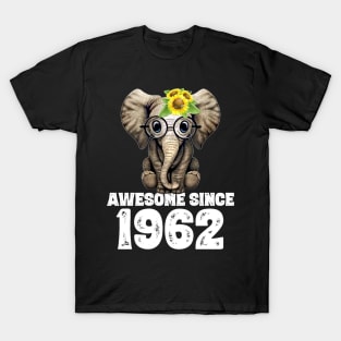 Awesome since 1962 58 Years Old Bday Gift 58th Birthday T-Shirt